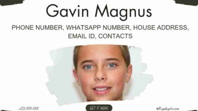 Gavin Magnus Phone Number